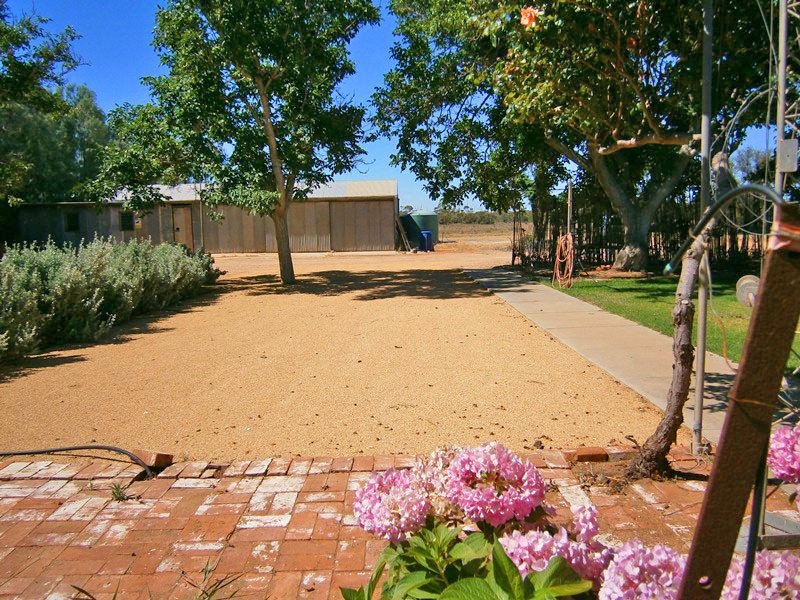 59 Perry Road, Waikerie SA 5330