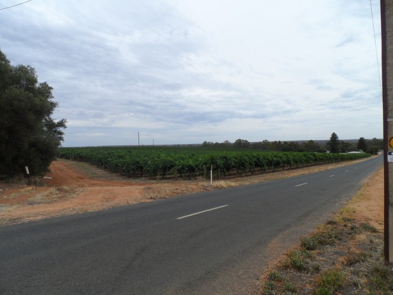 121 Goodes Road, Pyap SA 5333