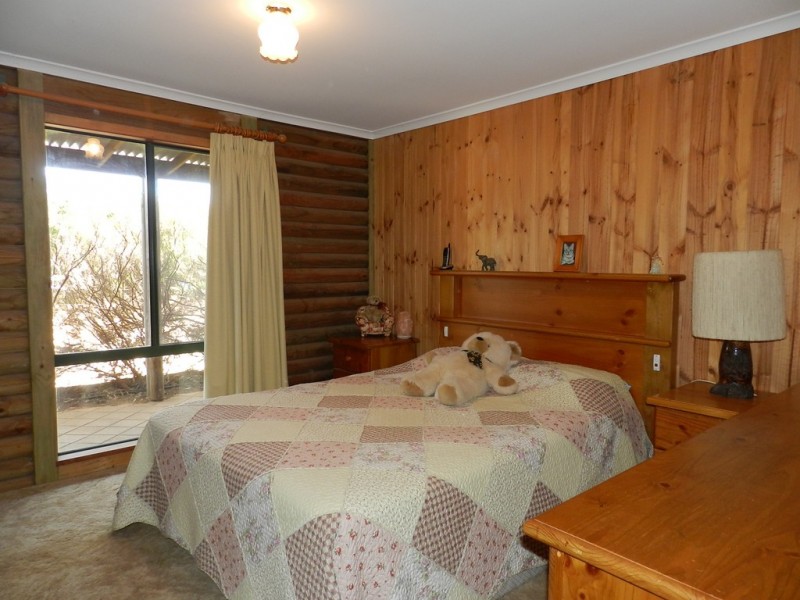 207 Gaskell Road, Barmera SA 5345