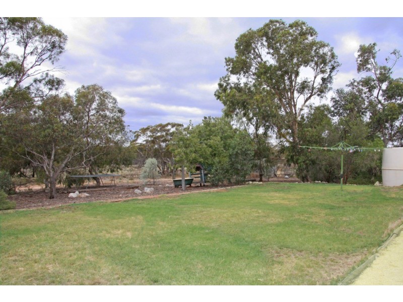 1520 Wormald Rd, Caliph, Loxton SA 5333