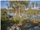 109 Noll Road, Blanchetown SA 5357