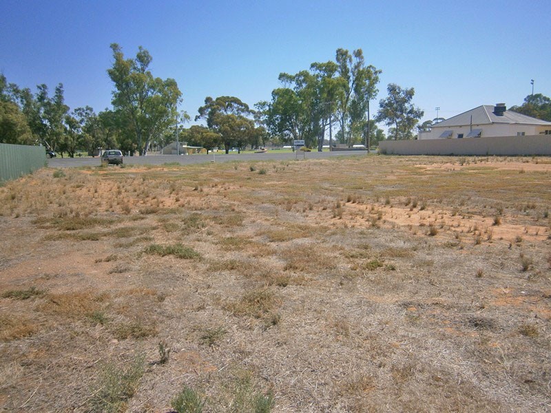 165 Peake Terrace, Waikerie SA 5330