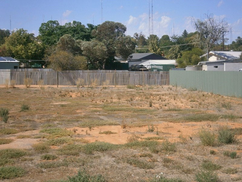 165 Peake Terrace, Waikerie SA 5330