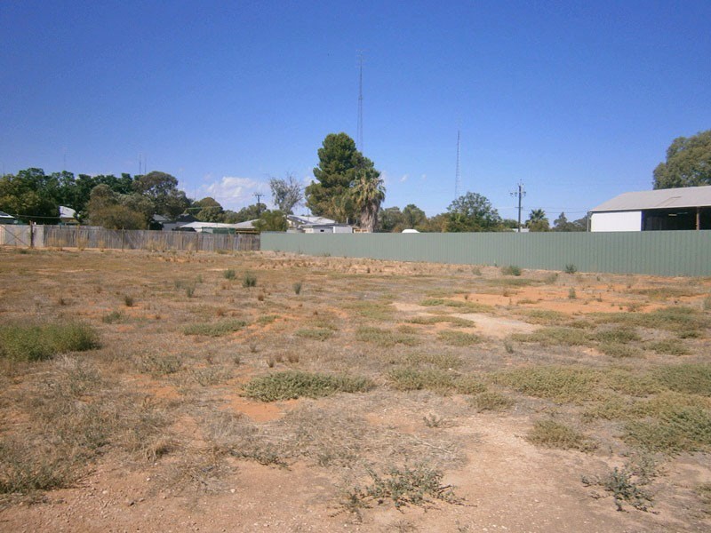 165 Peake Terrace, Waikerie SA 5330