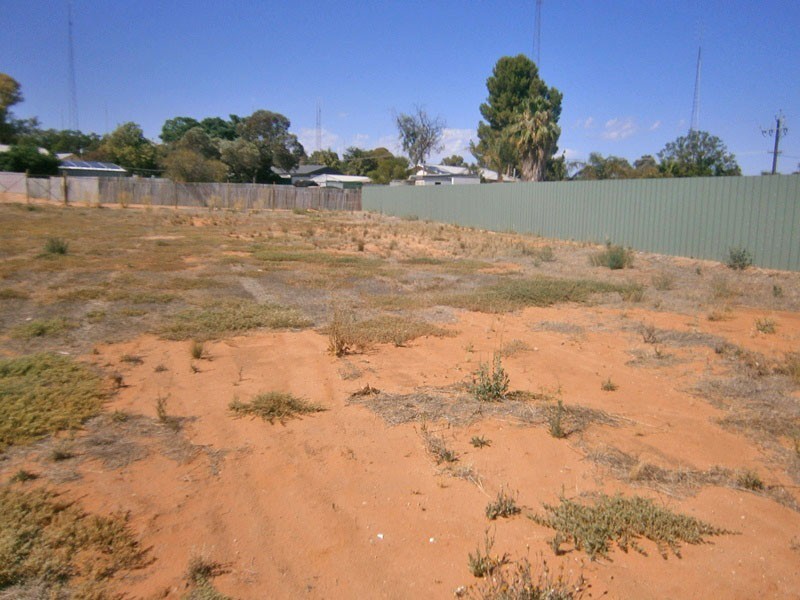 165 Peake Terrace, Waikerie SA 5330