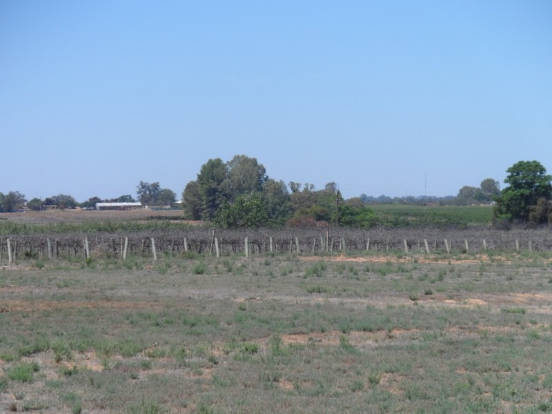 220 Anderson Road, Loxton North SA 5333