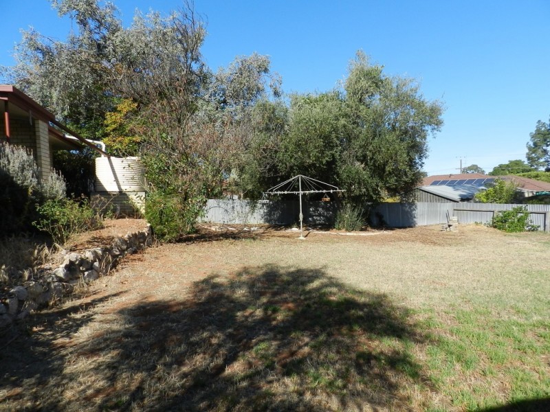 16 Aitken Street, Berri SA 5343