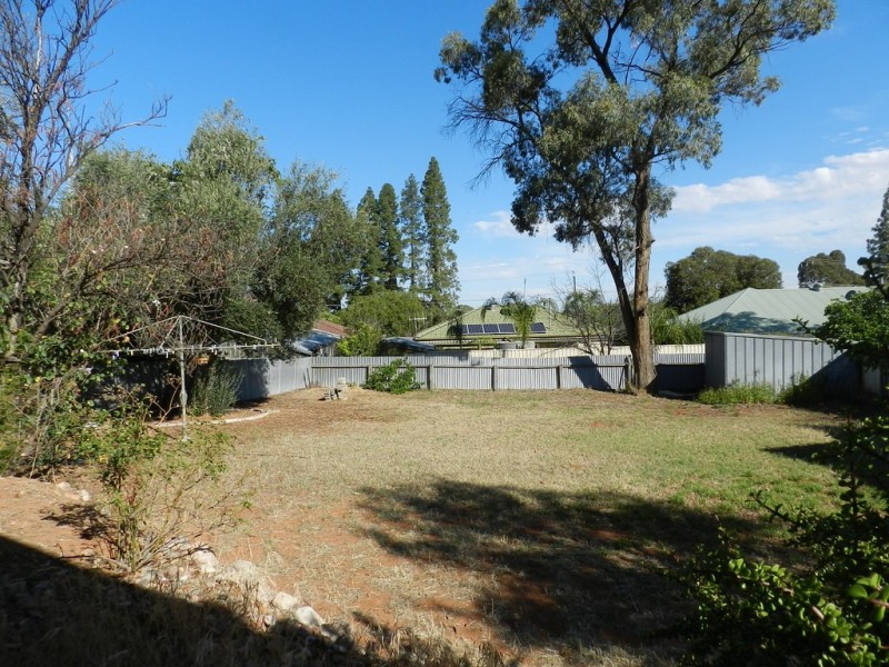 16 Aitken Street, Berri SA 5343