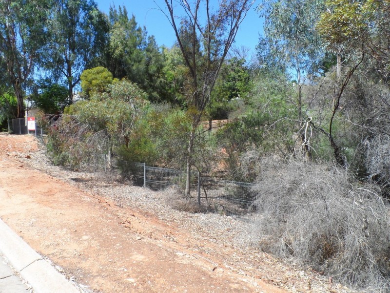 Lot 15 William Street, Loxton SA 5333