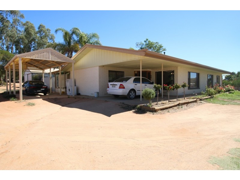 6 Cockin Road, Barmera SA 5345