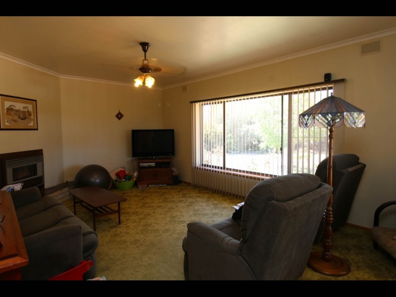 6 Cockin Road, Barmera SA 5345