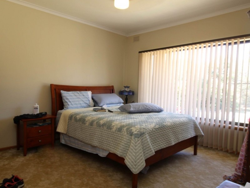 6 Cockin Road, Barmera SA 5345
