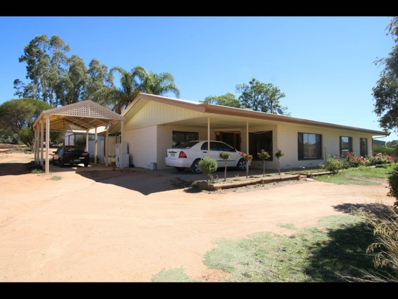 6 Cockin Road, Barmera SA 5345