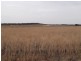 Section 28 Hundred of Kingsford, Kringin SA 5304