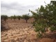 Section 28 Hundred of Kingsford, Kringin SA 5304