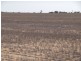 Section 28 Hundred of Kingsford, Kringin SA 5304