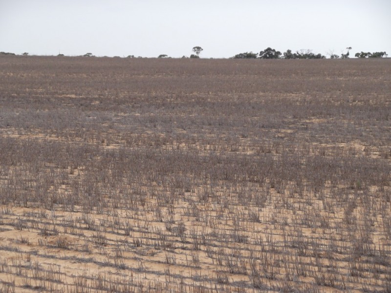 Section 28 Hundred of Kingsford, Kringin SA 5304