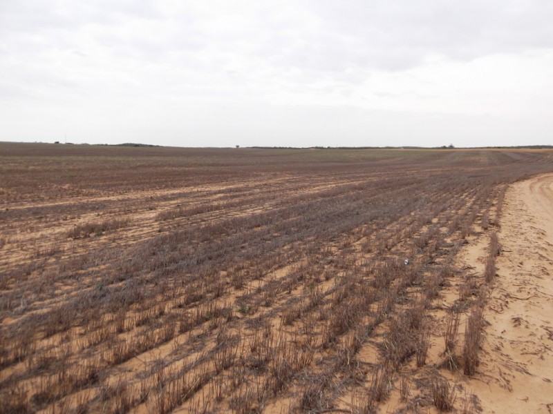 Section 28 Hundred of Kingsford, Kringin SA 5304