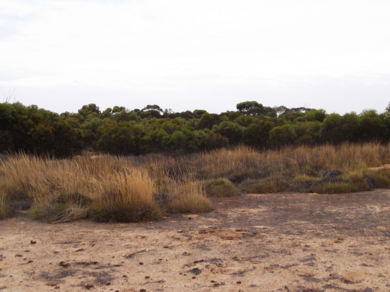 Section 28 Hundred of Kingsford, Kringin SA 5304