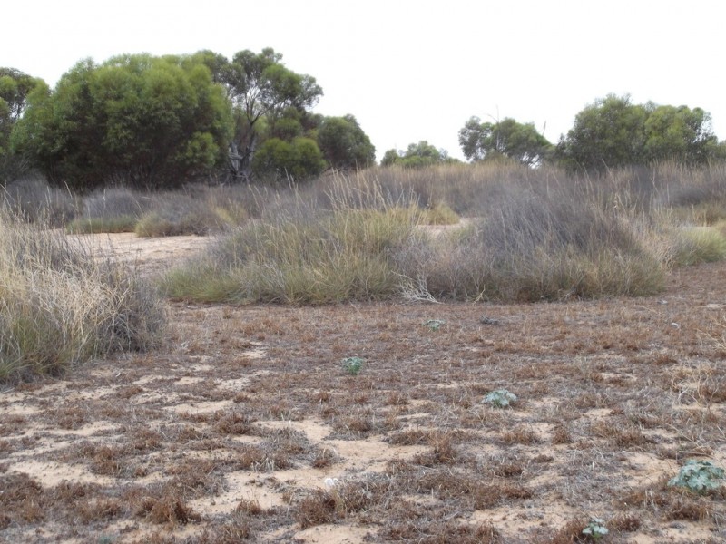 Section 28 Hundred of Kingsford, Kringin SA 5304