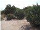Section 28 Hundred of Kingsford, Kringin SA 5304