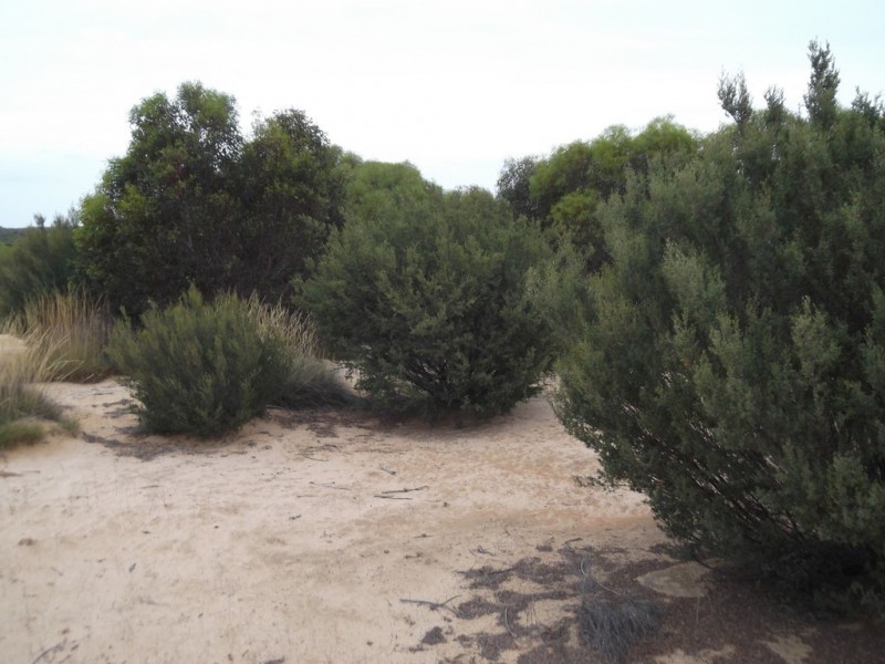 Section 28 Hundred of Kingsford, Kringin SA 5304
