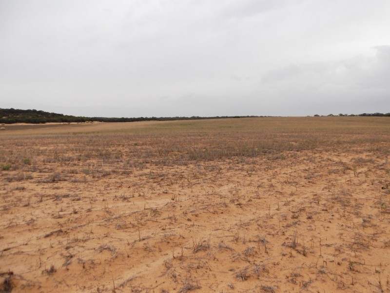Section 28 Hundred of Kingsford, Kringin SA 5304