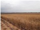 Section 28 Hundred of Kingsford, Kringin SA 5304