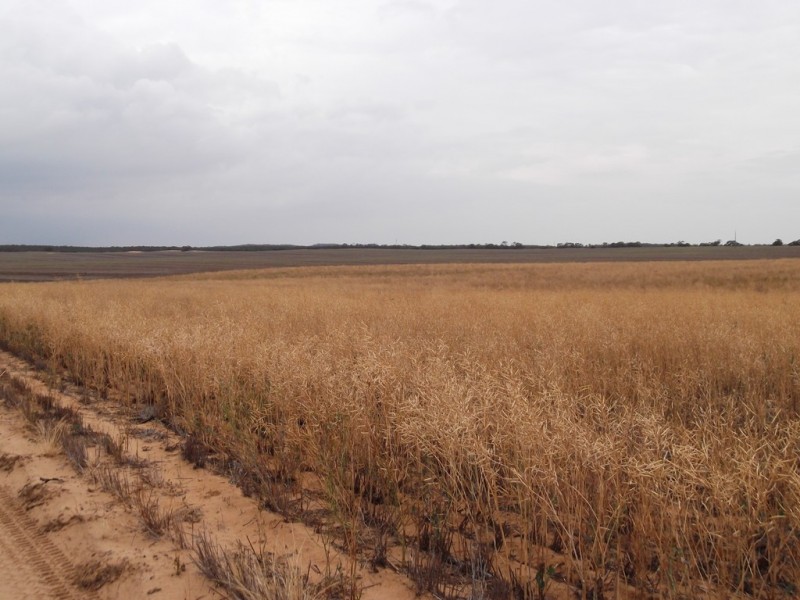 Section 28 Hundred of Kingsford, Kringin SA 5304