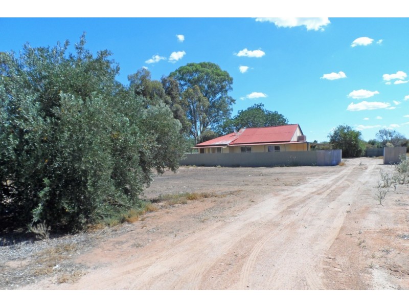 228 Kulkyne Street, Renmark SA 5341