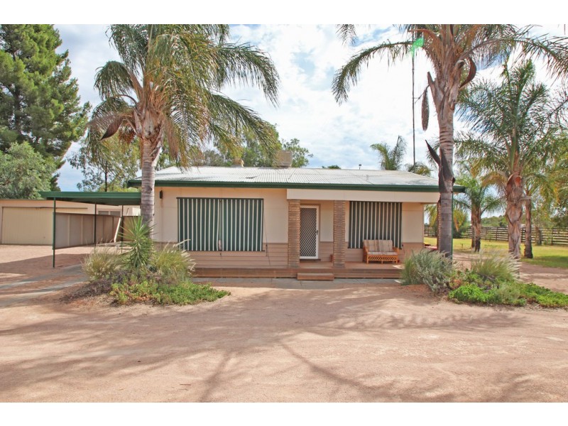 42 Etiwanda Street, Renmark SA 5341