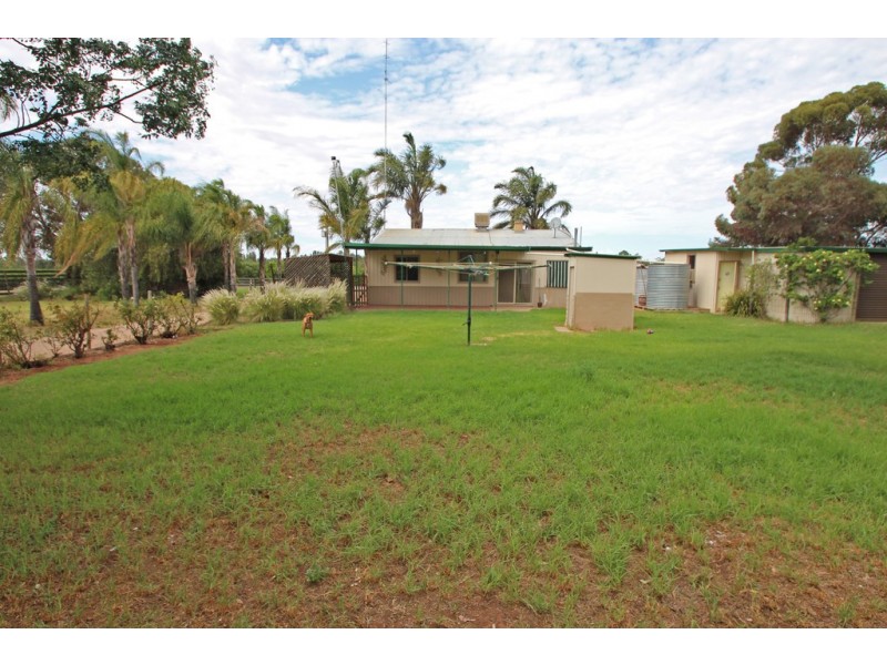 42 Etiwanda Street, Renmark SA 5341