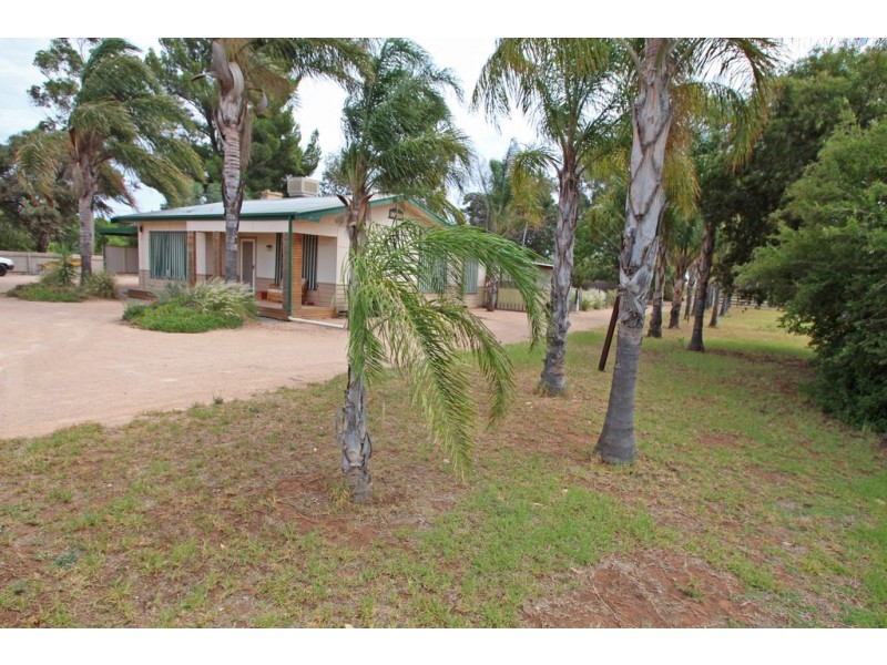 42 Etiwanda Street, Renmark SA 5341