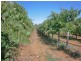 194 Cadell Valley Road, Cadell SA 5321