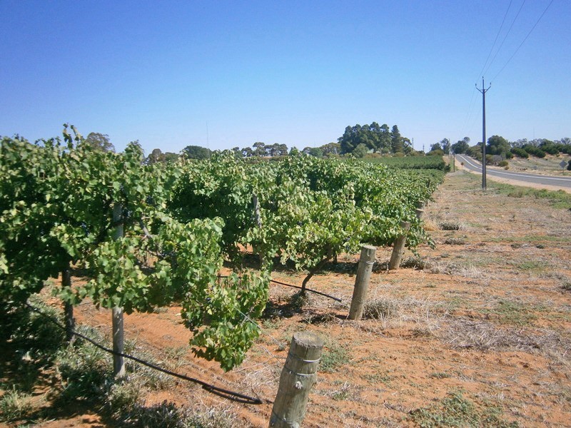 194 Cadell Valley Road, Cadell SA 5321