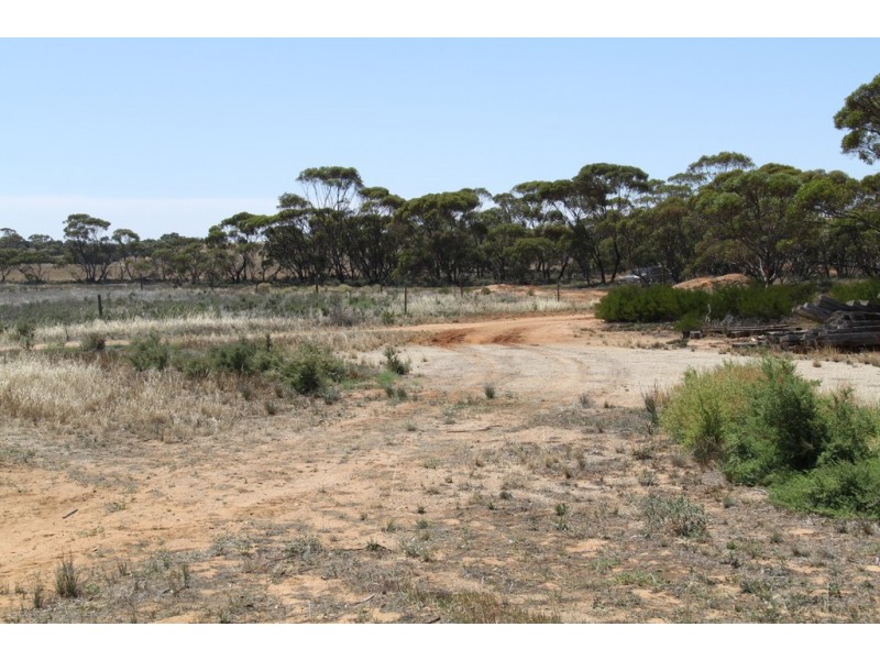 19 McCabe Avenue, Mindarie SA 5309