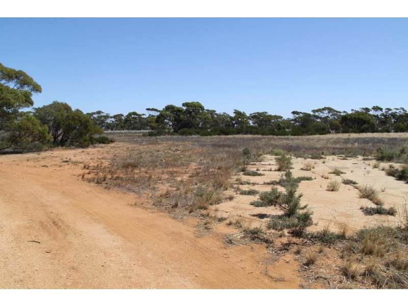 19 McCabe Avenue, Mindarie SA 5309