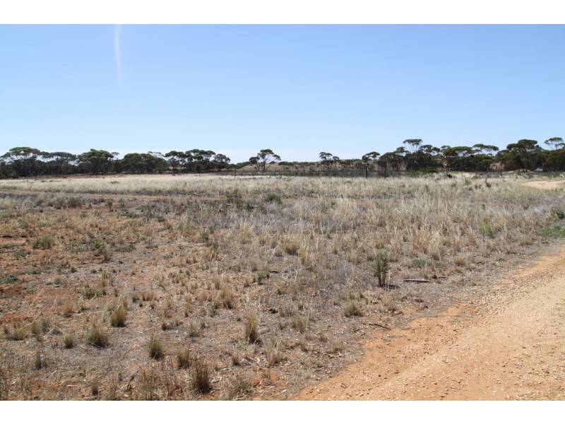 19 McCabe Avenue, Mindarie SA 5309