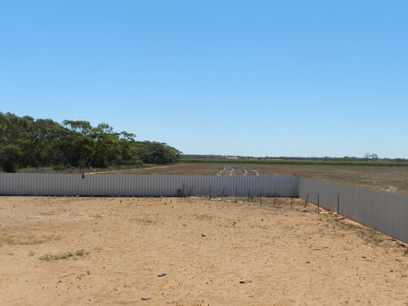 40 Hogg Road, Moorook SA 5332