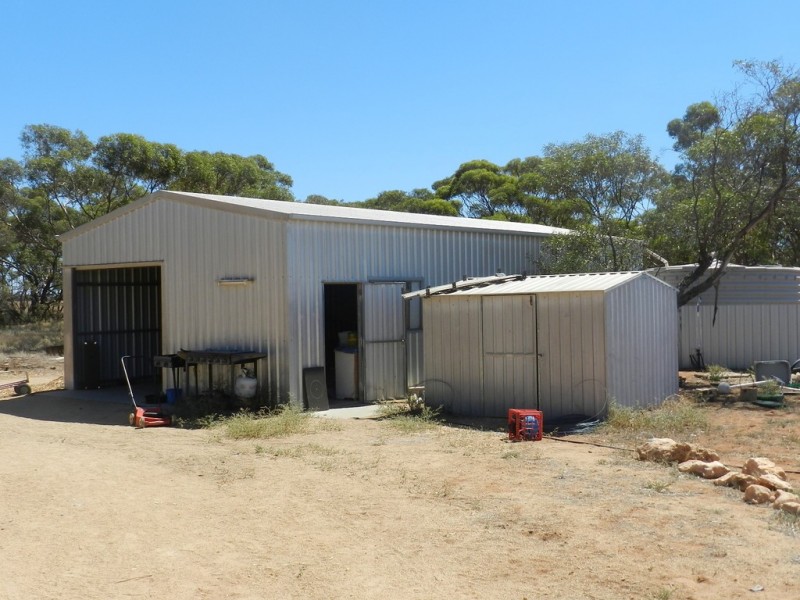 40 Hogg Road, Moorook SA 5332