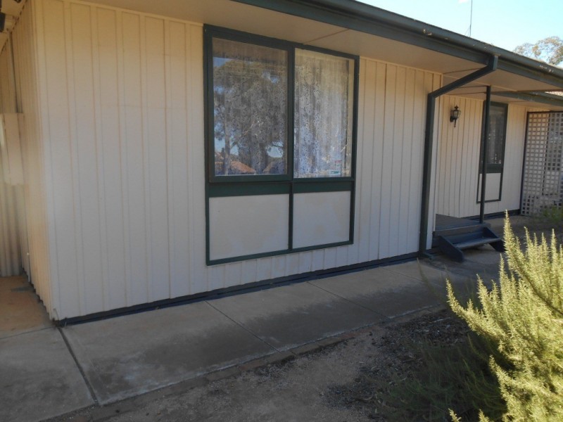 20 Jones Street, Berri SA 5343