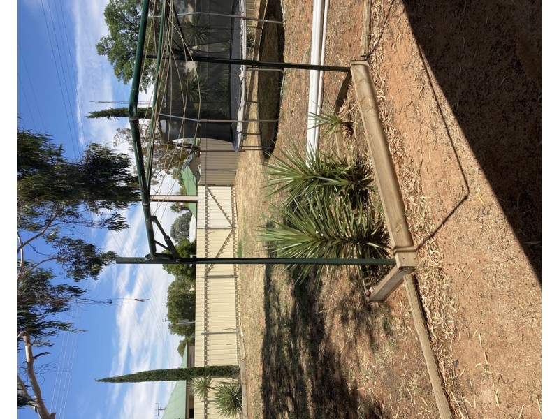 29 Tolarno Street, Renmark SA 5341