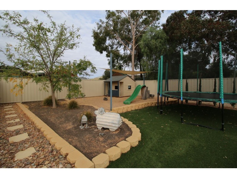 20 Bruce Road, Barmera SA 5345