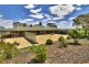 595 Morgan Road, Barmera SA 5345