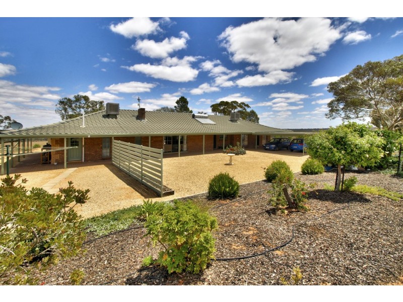 595 Morgan Road, Barmera SA 5345
