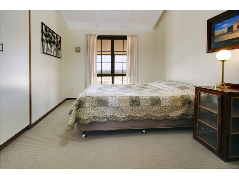 595 Morgan Road, Barmera SA 5345