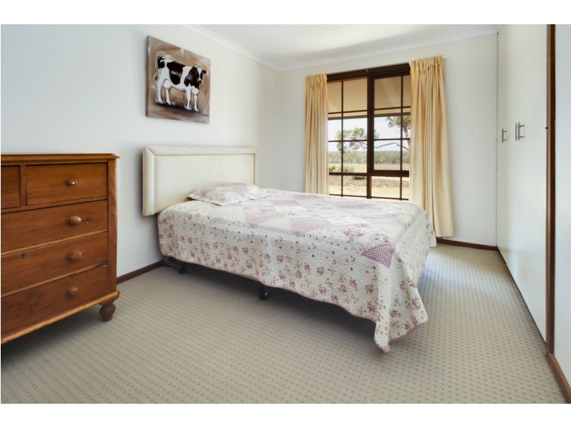 595 Morgan Road, Barmera SA 5345