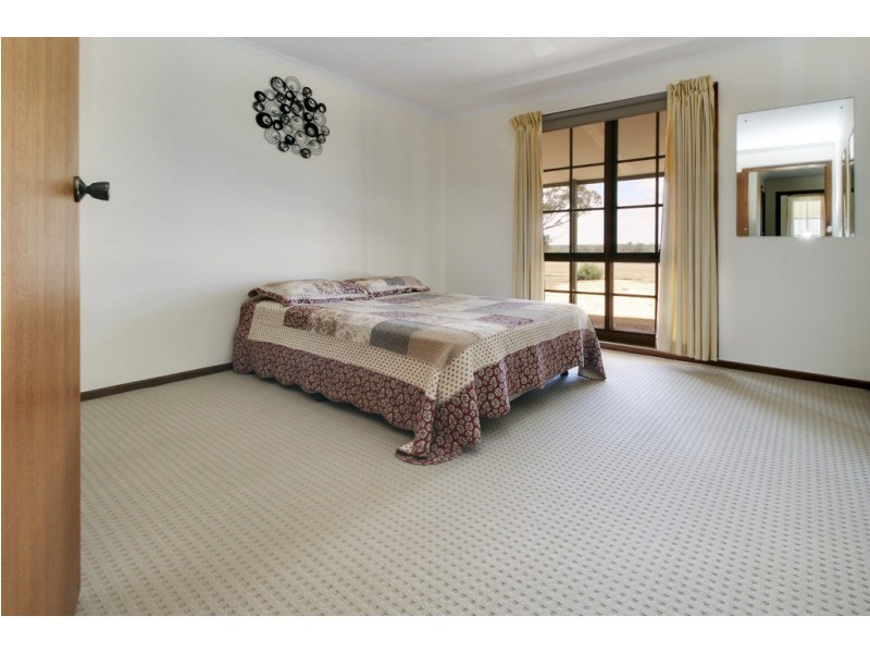 595 Morgan Road, Barmera SA 5345