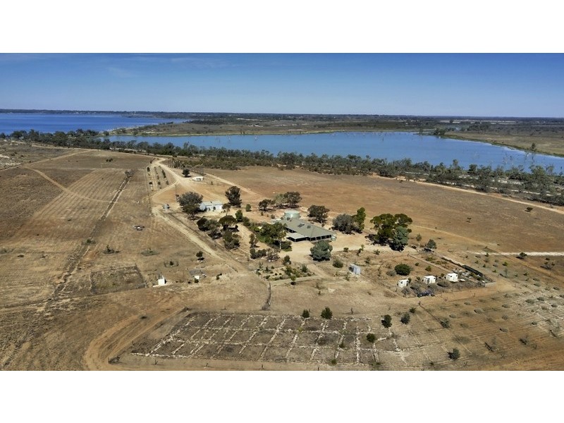 595 Morgan Road, Barmera SA 5345