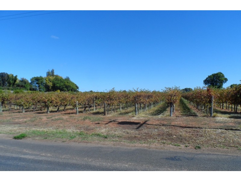 1 and 2 Tarcoola Street, Renmark SA 5341